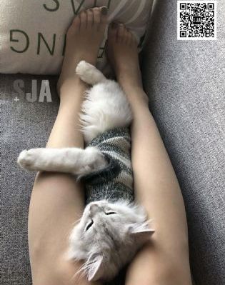 欧美辣妹梨形身材_1080P神马在线观看