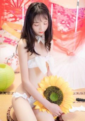 国产飞机c919和arj21_BD免费观看韩国